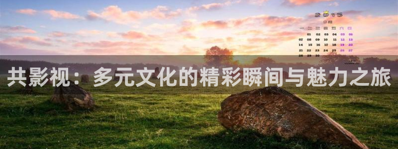 达达兔电视电影：共影视：多元文化的精彩瞬间与魅力之旅