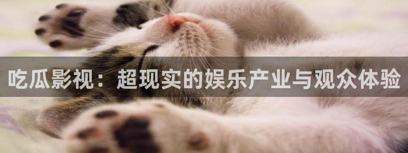 神马电影院达达兔第九：吃瓜影视：超现实的娱乐产业与观众体验
