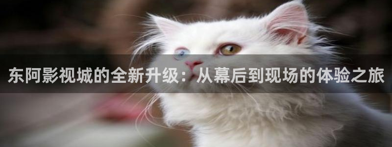 神马电影网达达兔影院：东阿影视城的全新升级：从幕后到现场的体验之旅