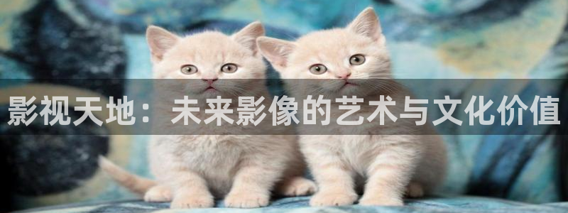 第二十条达达兔影院：影视天地：未来影像的艺术与文化价值