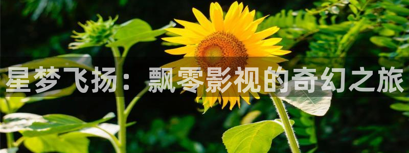 达达兔影院高清在线看