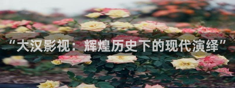 神马第九达达兔影院在线