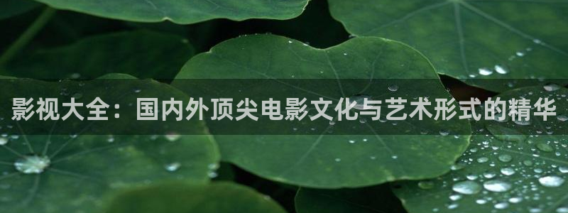 兔兔达达兔影视剧：影视大全：国内外顶尖电影文化与艺术形式的精华