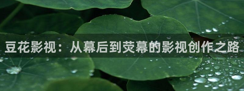 达达兔在线影视观看：豆花影视：从幕后到荧幕的影视创作之路