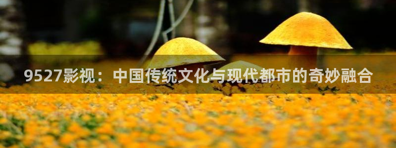 达达兔神马私人影院：9527影视：中国传统文化与现代都市的奇妙融合