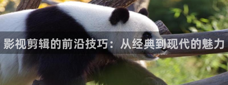 达达兔影院电视剧电影免费